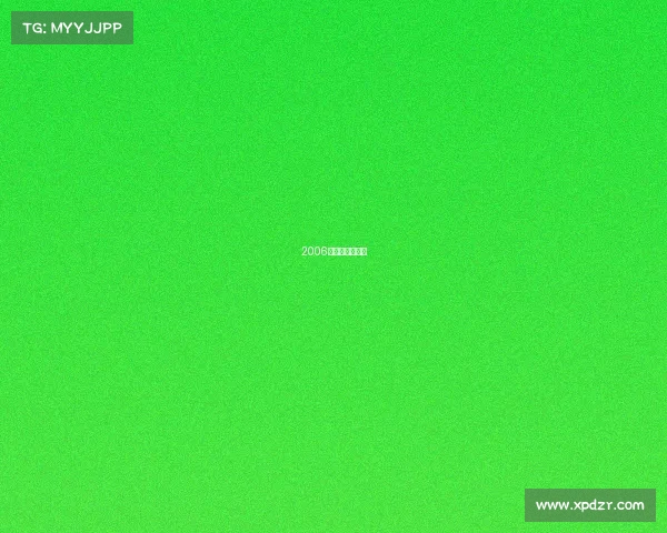 2006年电子竞技冠军